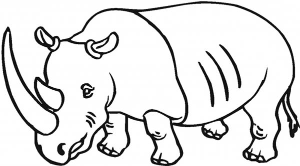 600x333 Drawing Rhino Coloring Pages Batch Coloring
