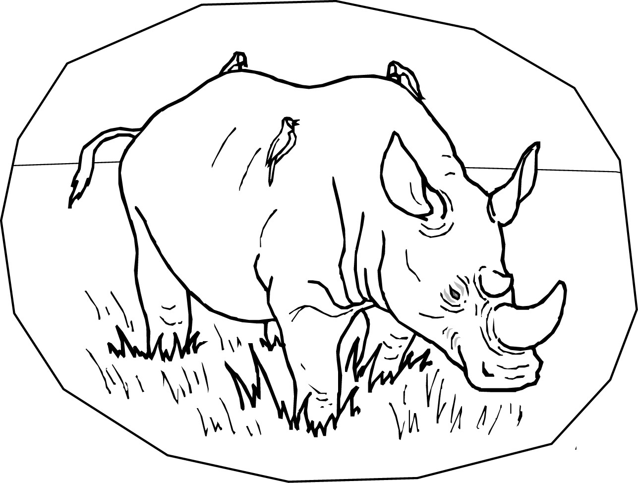 1287x974 Free Printable Rhinoceros Coloring Pages For Kids Fine Rhino Page