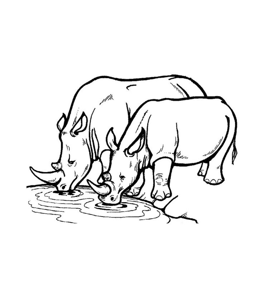 950x1004 Free Printable Rhinoceros Coloring Pages For Kids