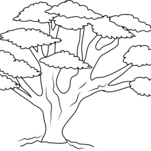 300x300 Oak Tree With So Many Branch Coloring Page Color Luna