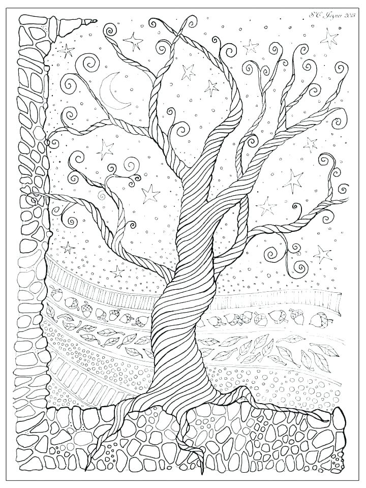 720x960 Trees Coloring Pages Coloring Pages Of A Tree Free Printable Tree