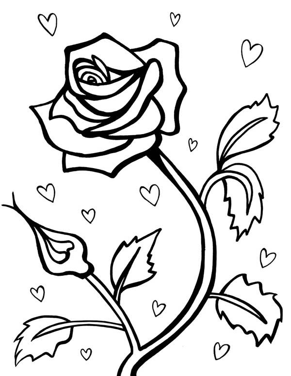 600x776 Rose For Valentine Day Coloring Page Rose For Valentine Day