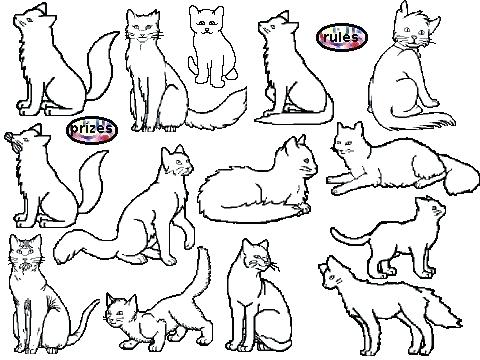 480x360 Warrior Cats Coloring Pages Warriors Cats Ng Pages Free Warrior