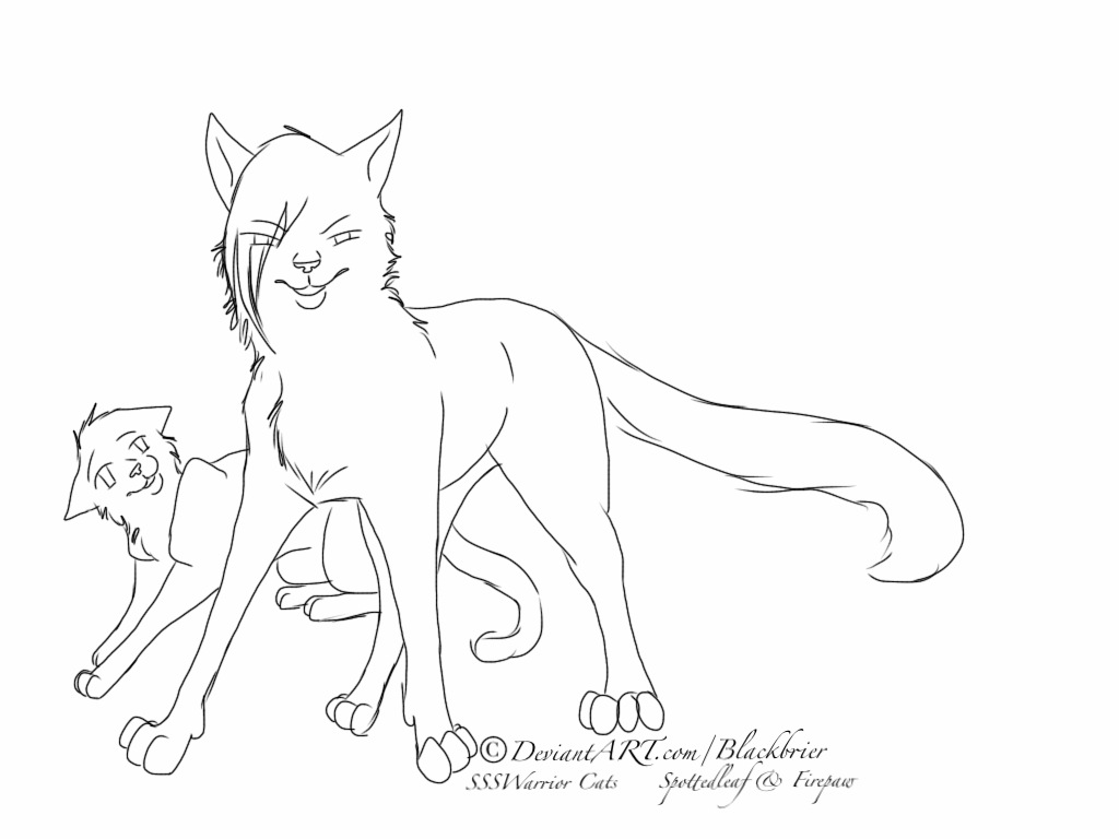 1024x768 Warrior Cats Free Coloring Pages On Masivy World Pertaining To Cat