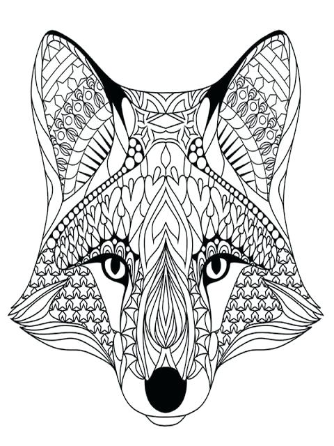 480x640 Coloring Coloring Page Wolf Pages Of Wolves Plus Adult Clawdeen