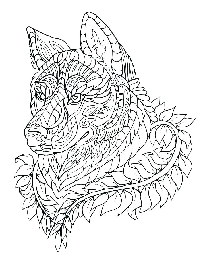 700x923 Clawdeen Coloring Pages Monster High Coloring Pages Wolf Clawdeen