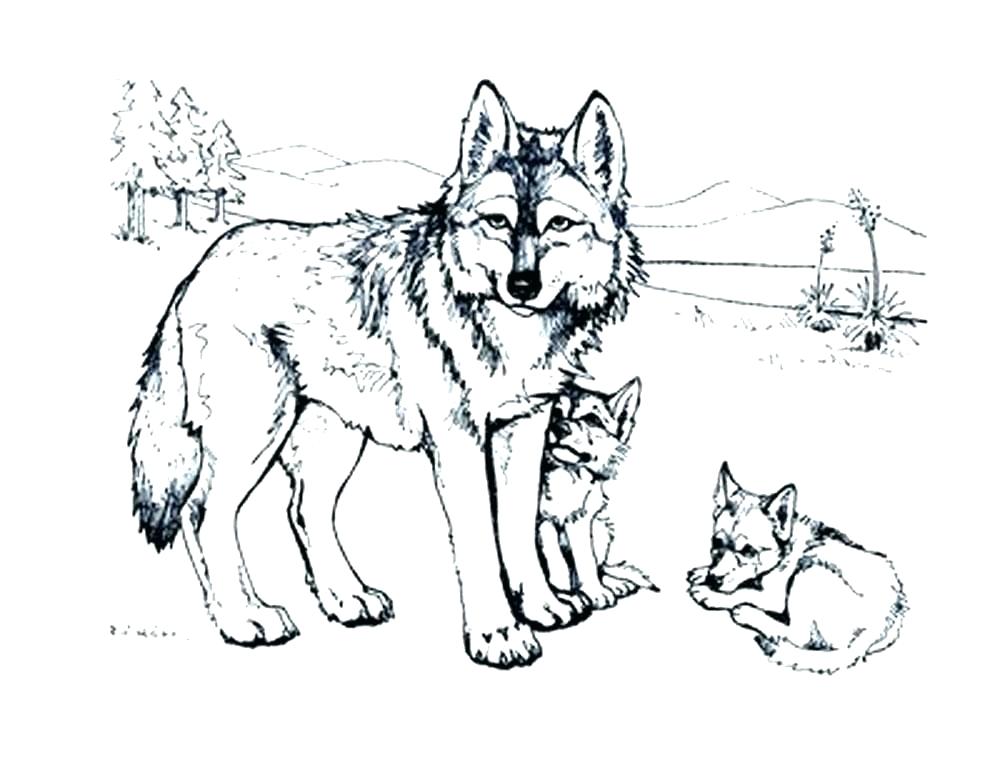1000x773 Wolf Pup Coloring Pages Winged Wolf Coloring Pages Wolf Coloring