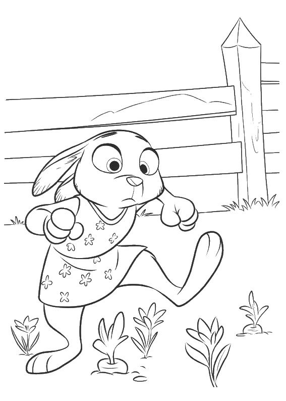 567x794 Zootopia Coloring Pages Zootopia