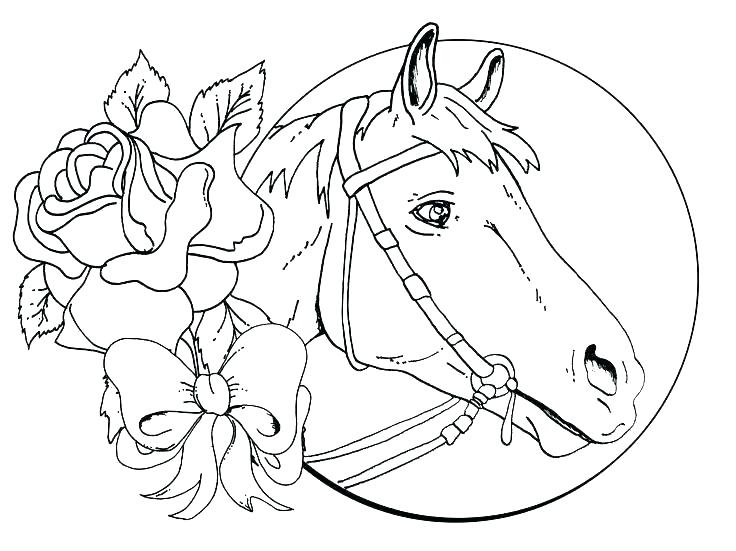 736x551 Horse Coloring Pages Printable Horse Jumping Colouring Pages Horse