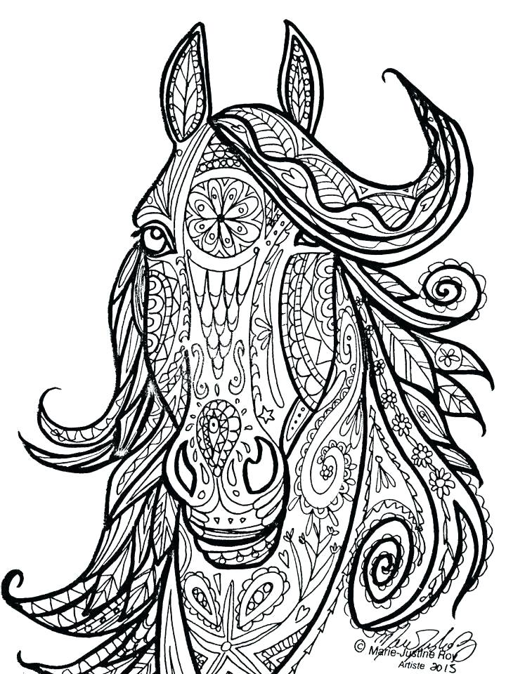 720x960 Horses Coloring Pages
