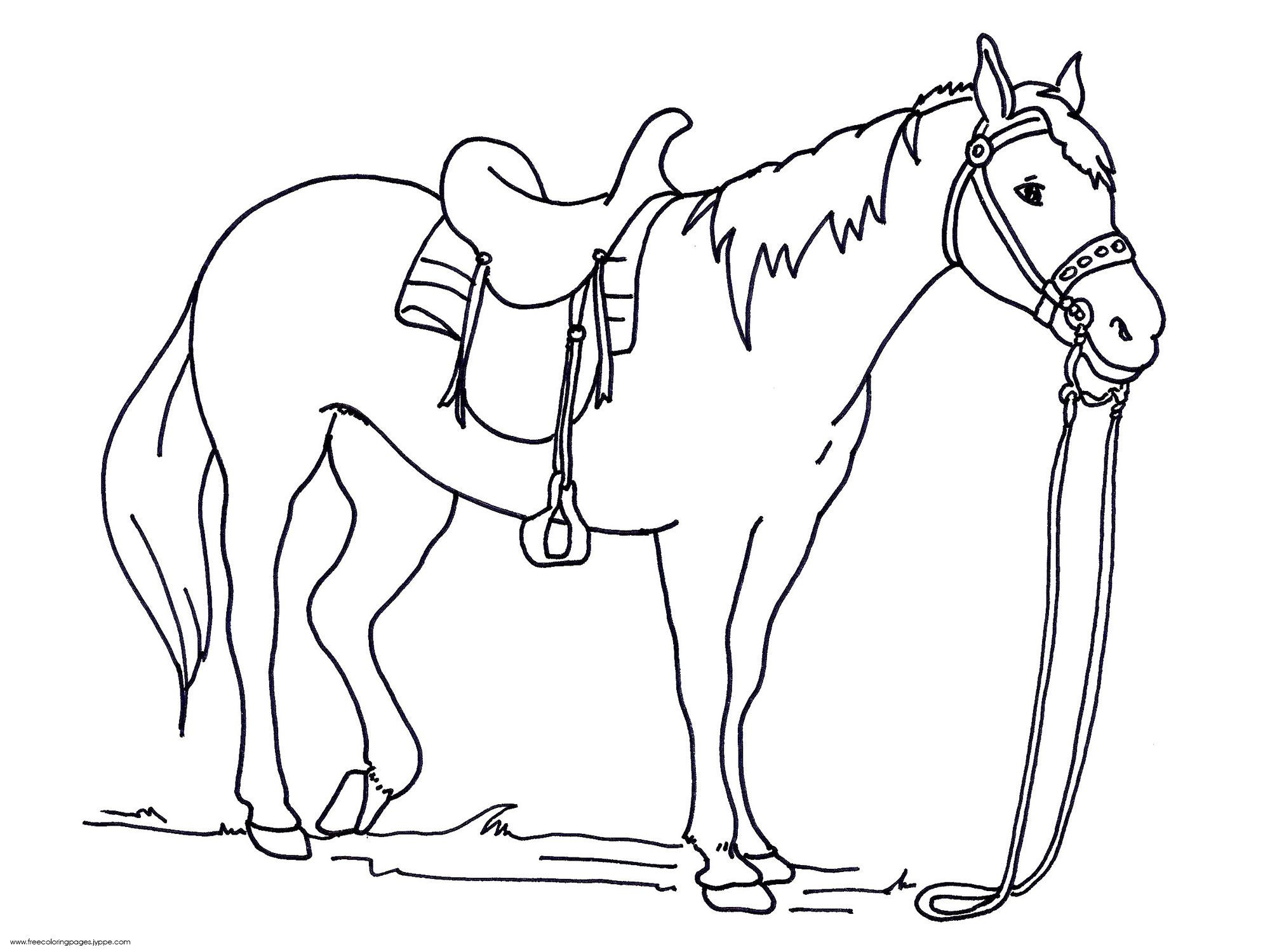2000x1500 Luxury Coloring Pages Horses