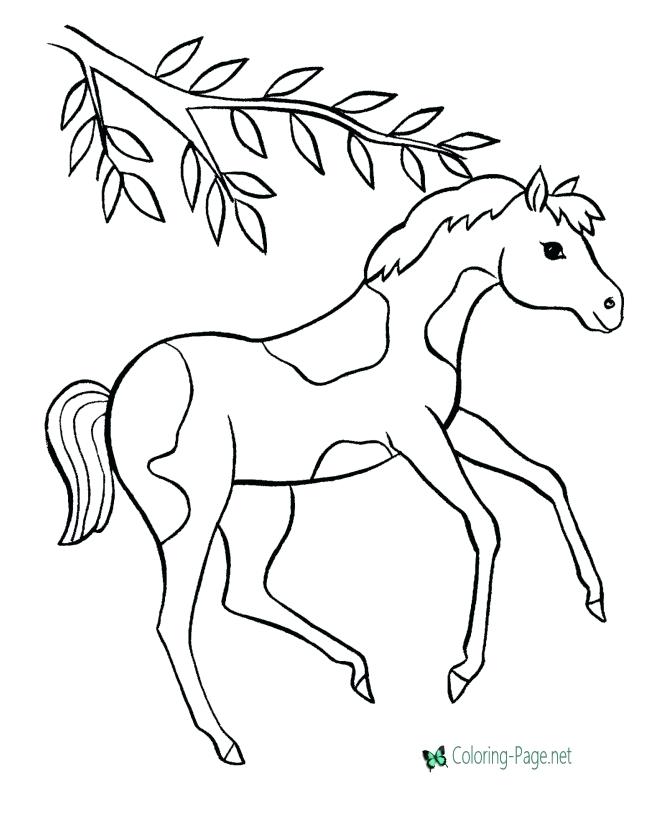 670x820 Coloring Pages Horse Coloring Pages Coloring Pictures Of Horses