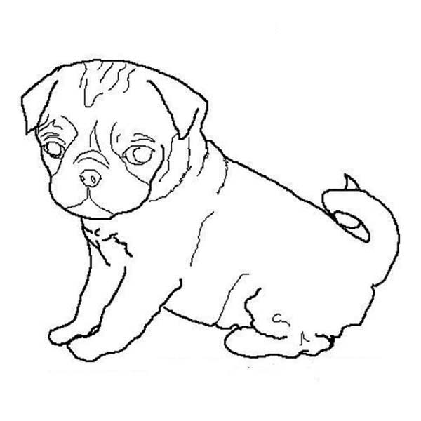 600x600 Free Coloring Pages Of Dog Outline Road Trip Dog