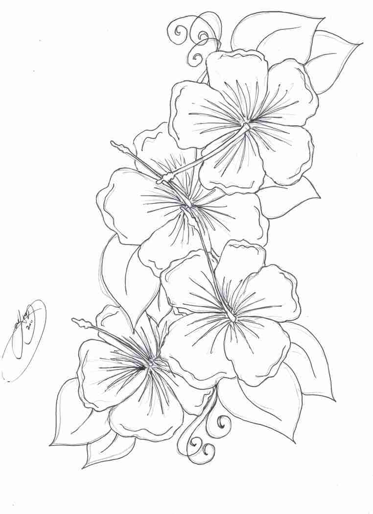762x1049 Hibiscus Flower Outline Coloring Pages Stunning Images Olegratiy