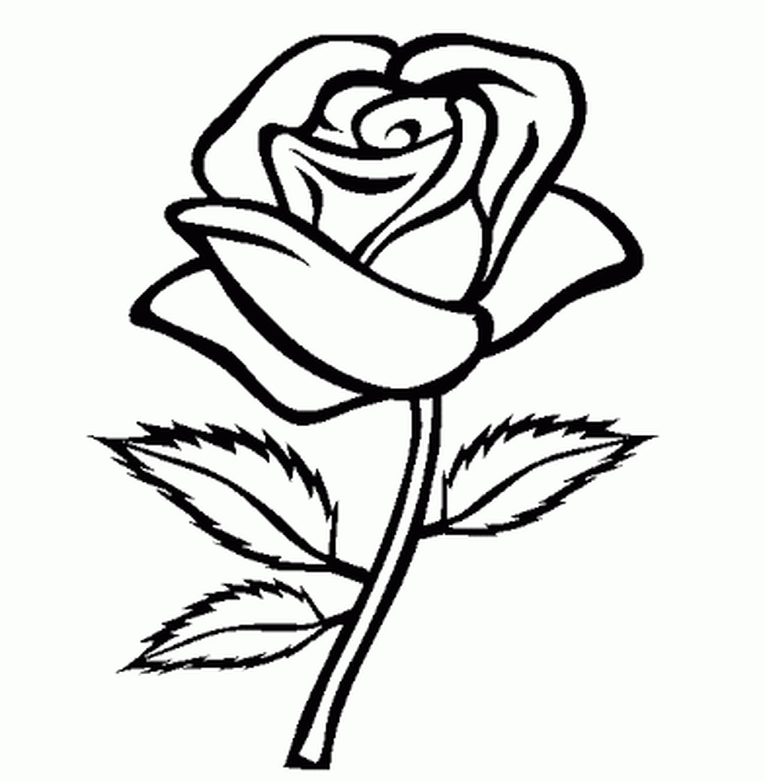 2550x2602 Lifetime Flowers Outlines For Colouring Outlin