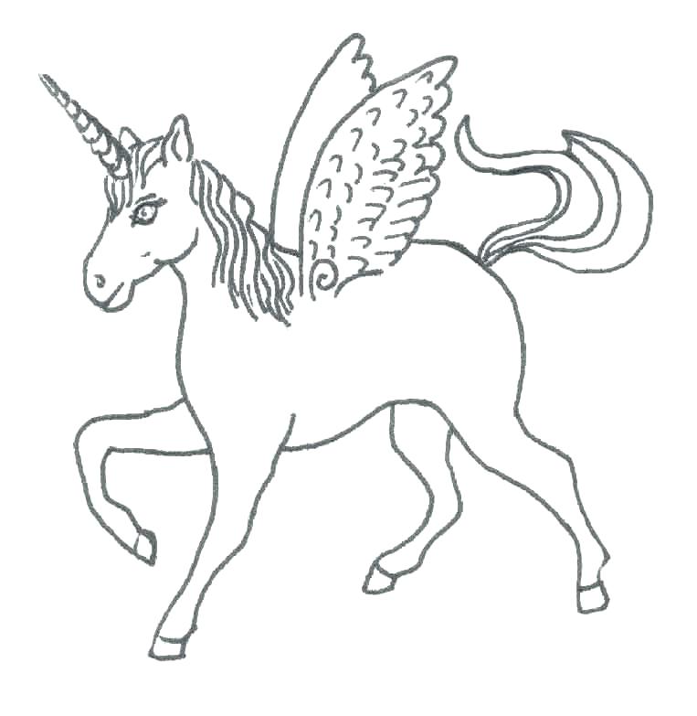 763x783 Unicorn With Wings Coloring Pages Unicorn With Wings Coloring