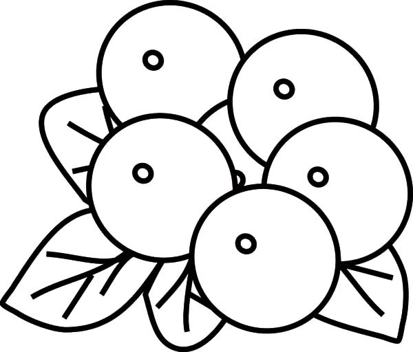 600x512 Blueberry Bush Outline Coloring Pages Best Place To Color
