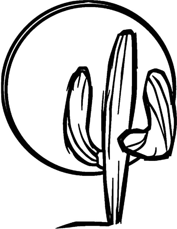 600x777 Cactus Outline Coloring Pages Best Place To Color