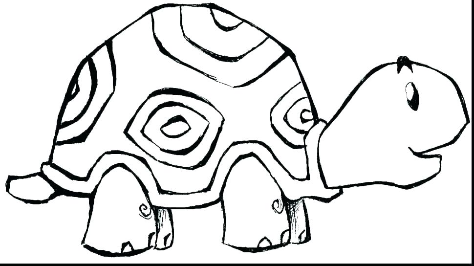 970x544 Zebra Coloring Pages Pdf