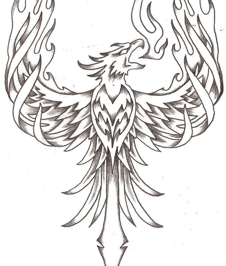 736x864 Vector Logo Of Black And White Coloring Page Phoenix Bird Free