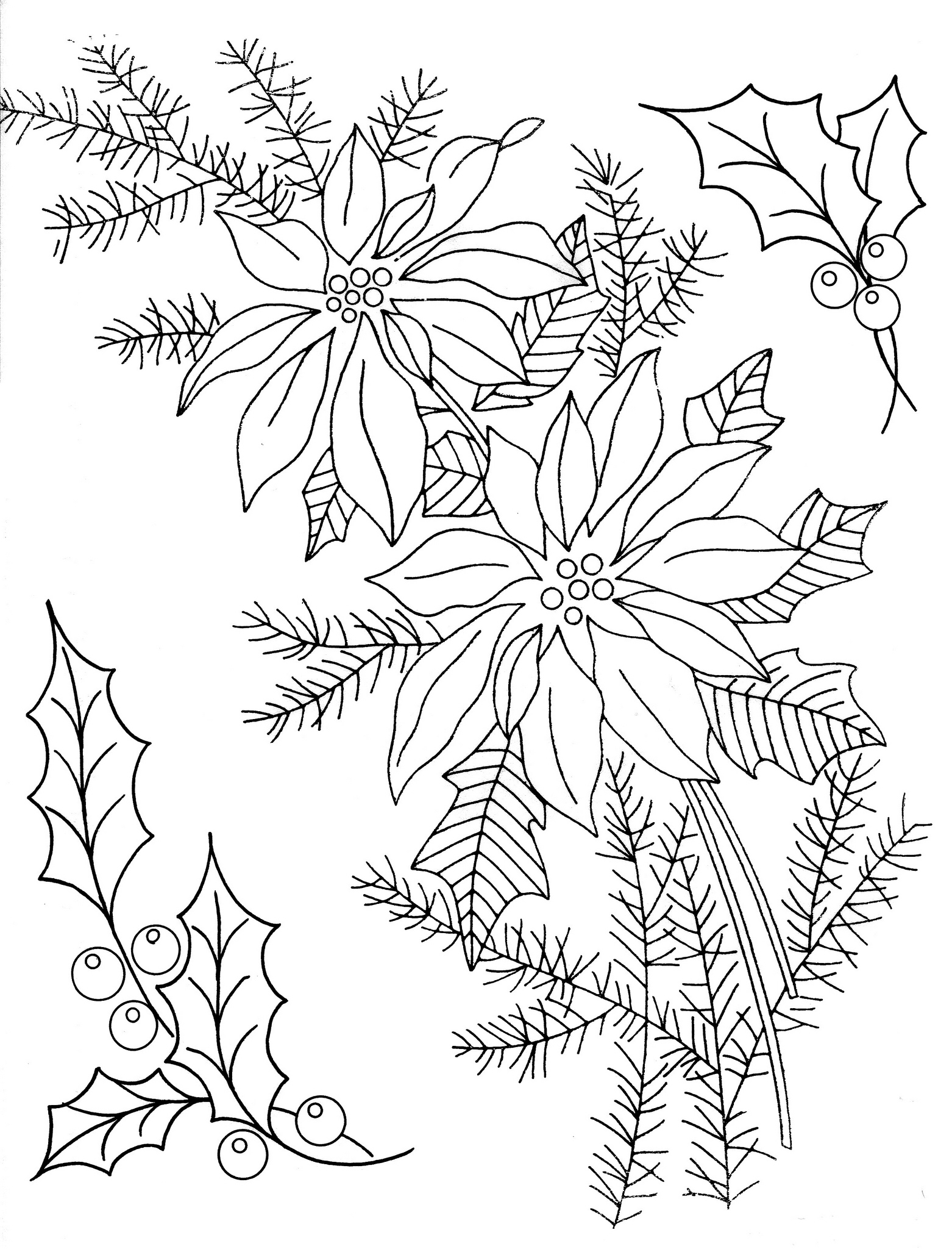 1562x2048 Holly Poinsettia Embroidery Patterns Gallery