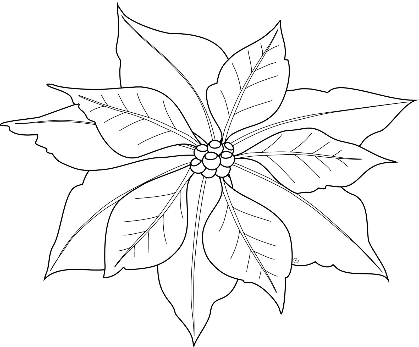 1600x1325 Poinsettia Flower Coloring Pages