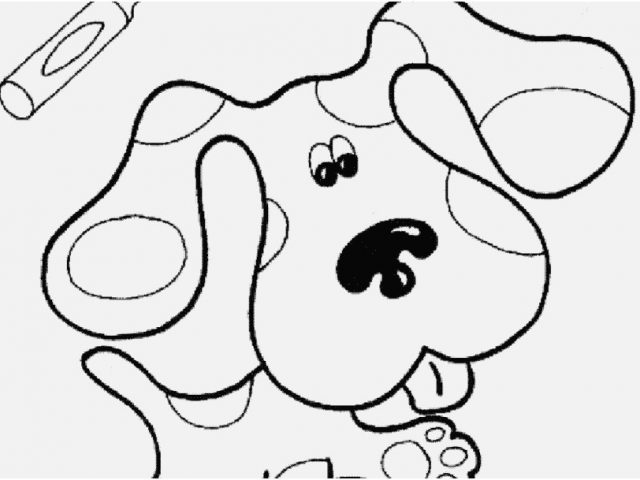 640x480 Shimmer And Shine Coloring Pages Portraits Simplified Blues Clues