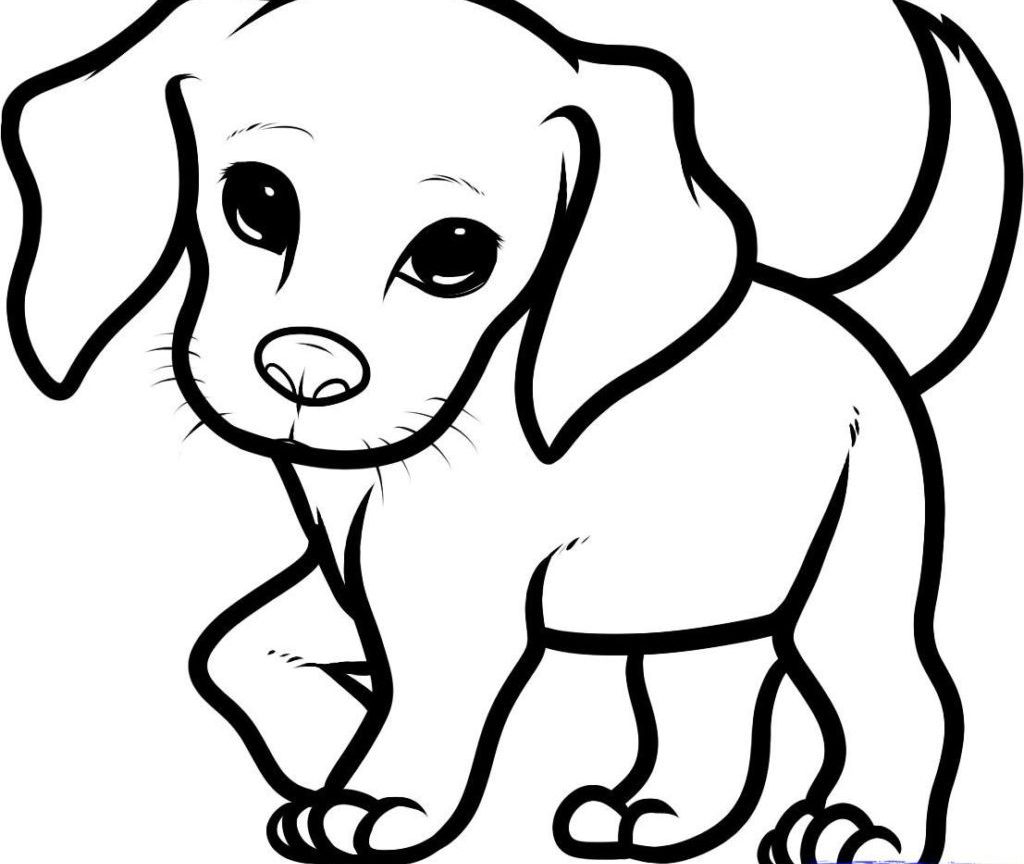 1024x864 Pet Store Coloring Pages Printable Wonder Pets Free Of Puppies