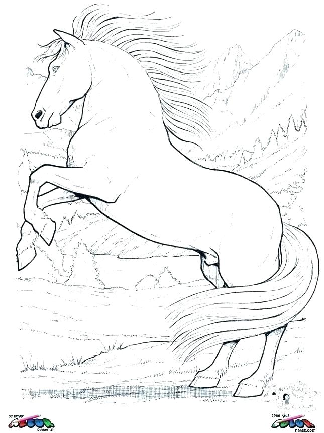 645x860 Horse Coloring Pages For Adults