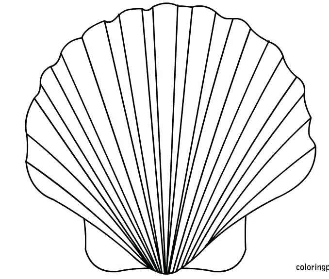 678x575 Sea Shell Coloring Pages Sea Shell Coloring Page Inspirational Sea