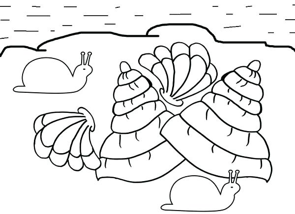 600x436 Sea Shells Coloring Pages Sea Shell Coloring Page Seashell