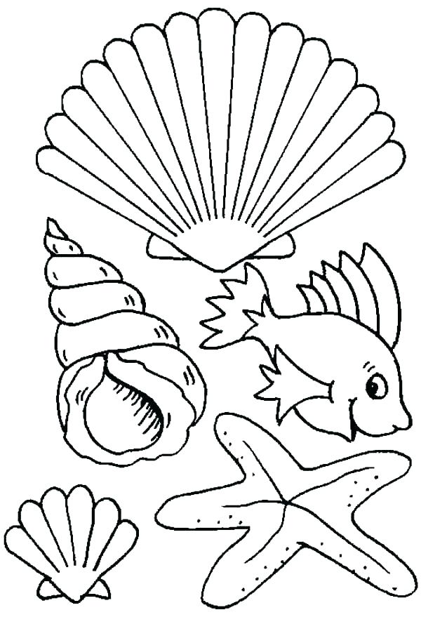 600x879 Seashell Coloring Page Glamorous Sea Shell Pages Print Shells Kids