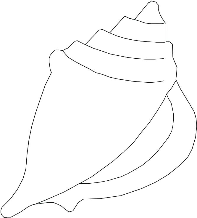 666x736 Astounding Sea Shell Coloring Pages Sea Shell Coloring Page Sea