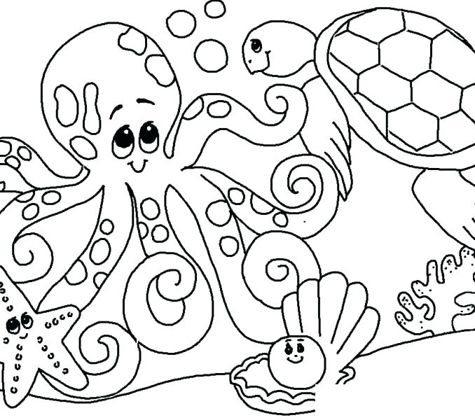 678x600 Seaweed Colouring Sheets Under Sea Coloring Pages Under