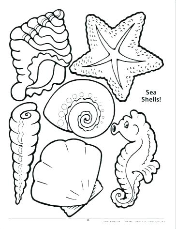 364x473 Seashell Coloring Pages