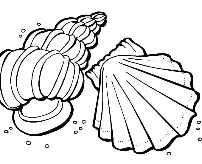 678x550 Nicodemus Coloring Page Beach Shells Coloring Pages Printable