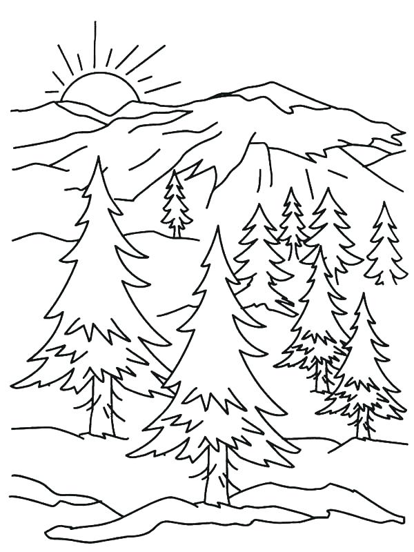 600x800 Coloring Pages For Kids Cars Mountain Goat Sketch Color