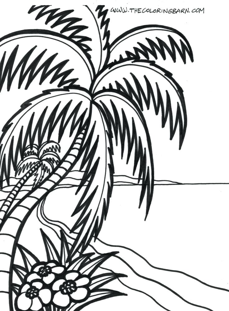 736x996 Beach Coloring Pages For Adults Beach Sunrise Coloring Page