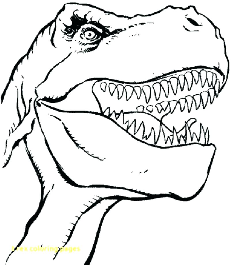816x918 Tyrannosaurus Rex Coloring Page Tyrannosaurus Coloring Page T