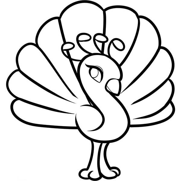 600x600 Cute Peacock Coloring Pages