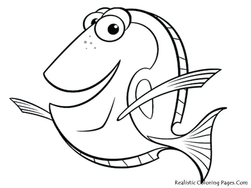 1024x768 Horse Coloring Pages Color Online Amazing Fish Patterns To That