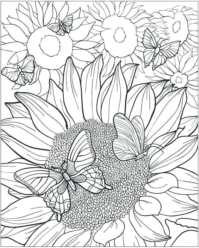 650x809 Van Gogh Sunflowers Coloring Page Sunflowers Coloring Pages Van