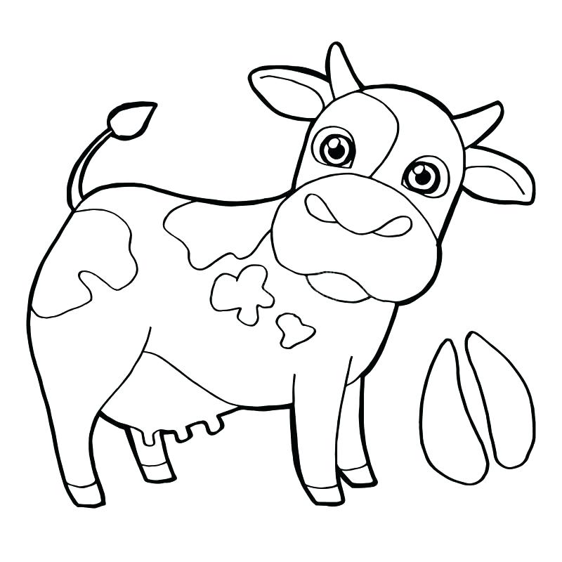800x800 Coloring Page Cow Cow Printable Coloring Pages Download Cattle