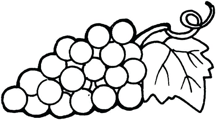 700x391 Grapes Coloring Pages Grapes Coloring Pages Grapes On Vine