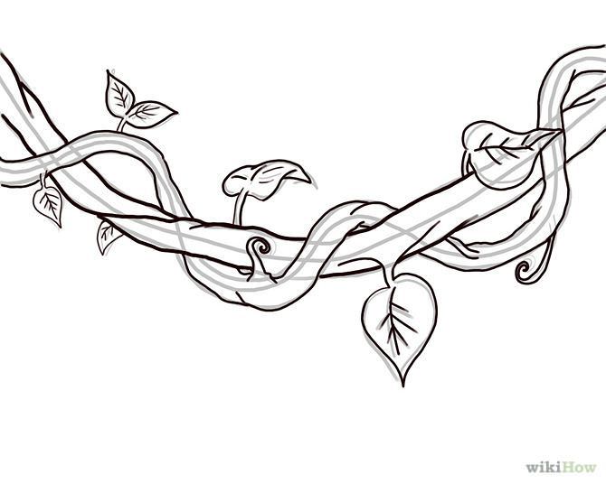 670x536 Jungle Vines Coloring Pages