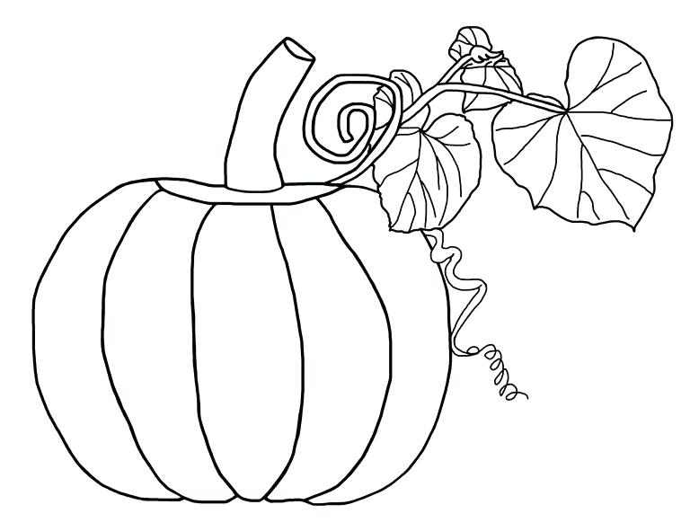 768x591 Coloring Page Of Pumpkin A Pumpkin With Vines And Leaves Coloring