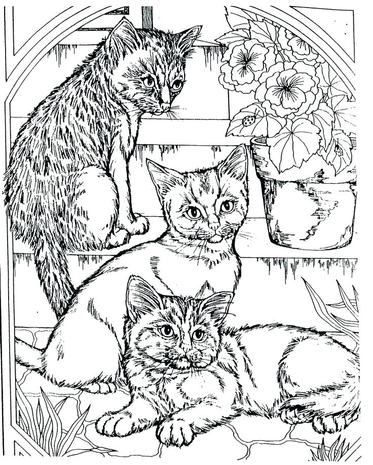 736x916 Free Coloring Pages With Lots Of Details Detailed For Teenagers