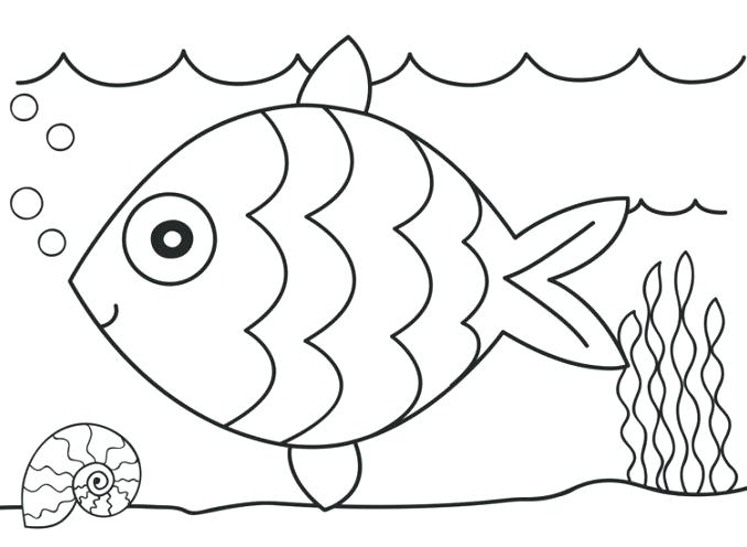 678x496 Worksheet Coloring Pages