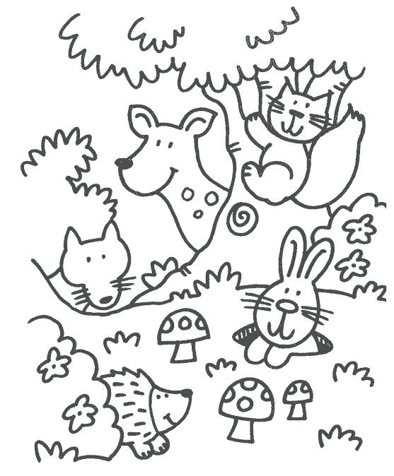 557x674 Coloring Animal Forest Animals Coloring Pages Animal Coloring