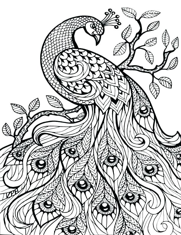 615x796 Free Printable Jungle Animals Colouring Pages Zen Anti Stress
